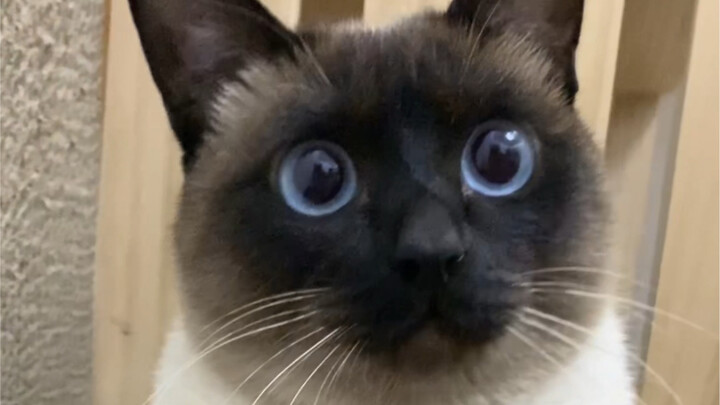 You're sneaking off to mine coal again behind my back!