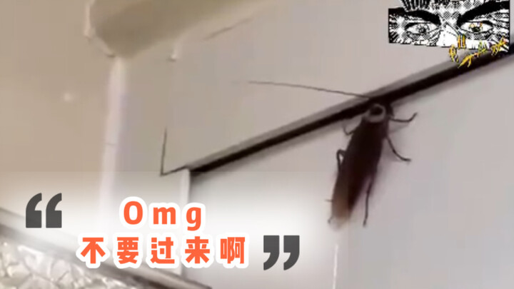 People from northern China say they don't understand—does this really exist?!