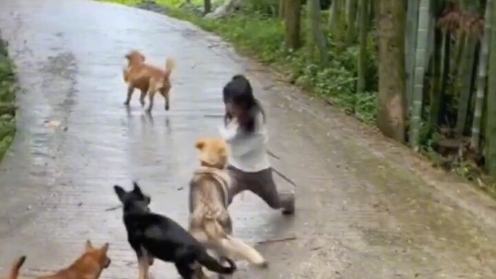 Jagoan Pembasmi Anjing akan unjuk kebolehan sejenak