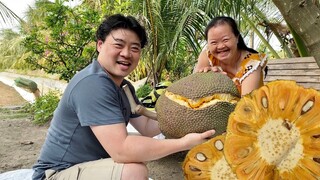 Vlog 501| Mấy cô cháu ĂN MÍT CHÍN TẠI GỐC ngọt lịm, anh Hoon tự tay bổ mít