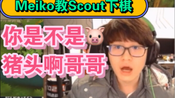 【Kisah di Live Stream EDG 5】Meiko: Lu tuh kepala babi apa, Abang? | Meiko Mengajari Scout Bermain Ca