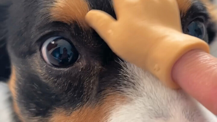 ฮ่าๆๆ สนุกมากเลย