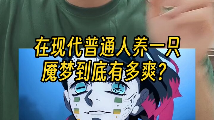 【Valuable Tips】How Perfect Is the Nightmare as a Pet, Really?