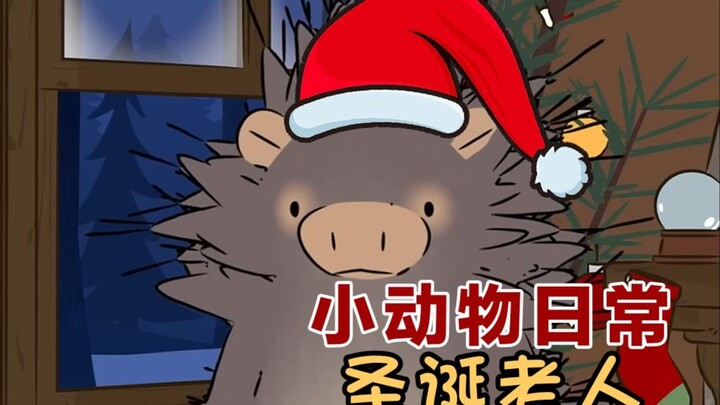 Sinterklas 🎅🎄🎁-[Little Animal Daily |. Celana Pendek Habitat Alami] bilingual Cina dan Inggris