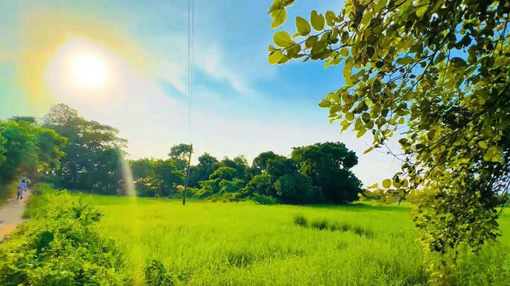 আল্লাহ ছাড়া কেউ আপোন নাই