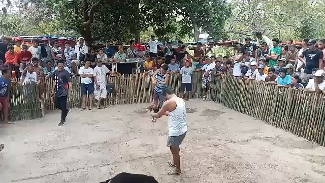 HMA SBR cross Sweater Win