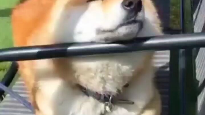 الآن، الاحتكاك الداخلي لم يعد يفرق بين الأعراق.