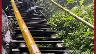 MAU KETAWA TAKUT DOSA