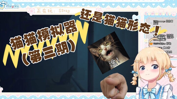 猫猫形态的宴宁姐姐登场！（三）