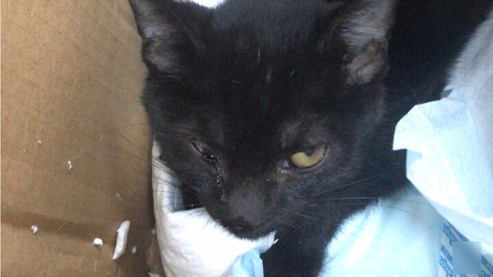 ฉันเก็บเงินส่วนตัวมามากกว่าหนึ่งปีแล้วและวางแผนที่จะซื้อคอมพิวเตอร์เพื่อเล่นเกม แต่เพื่อแลกกับมัน