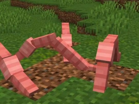 Saya menambahkan cacing ke Minecraft #ModMinecraft #Minecraft