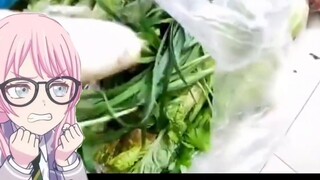 Chihaya Aine bought rotten vegetables while learning guitar at home