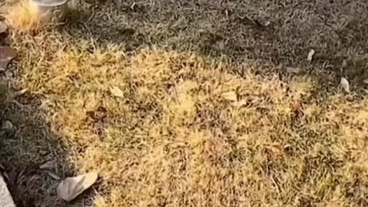 Love and hate happen in an instant!