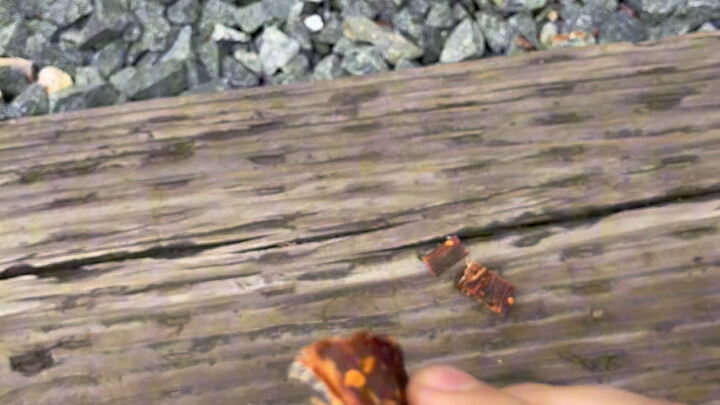 Hehe, beef jerky is so delicious #funny