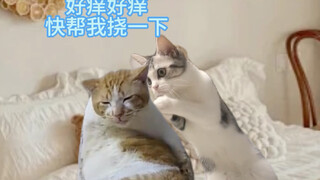 情侣恋爱后才知道的事