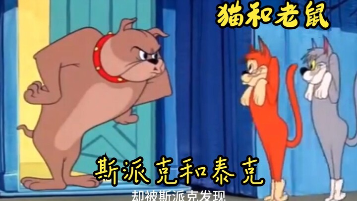 猫和老鼠罕见没有汤姆和杰瑞的一集，斯派克成为主角，智商蹭蹭的上涨！
