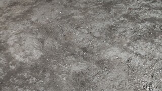 NBJJ4 Talisayon vs NBJJ4 Tornado Hatch