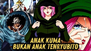 IBU BOONEY HAMIL ANAK KUMA, INI ALASANNYA | TEORI ONE PIECE