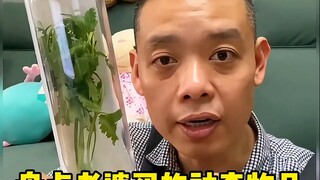 تعرف على الأشياء المذهلة التي اشترتها زوجتي #coupledaily #funny