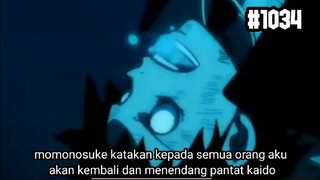 ONE PIECE EPISODE 1034 SUB INDO-KEKALAHAN LUFFY