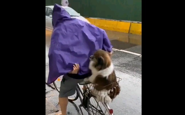 แม้แต่หมาก็ยังมีคนมารับ แต่ฉันกลับไม่มีเลย