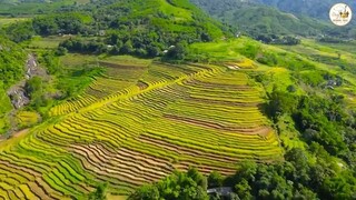 Nature Relaxing Music