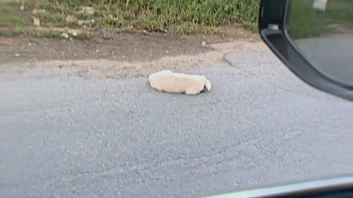 Speak the toughest words, do the warmest deeds.