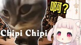 日本萝莉看《Chipi猫 但是史诗交响乐》当场绷不住