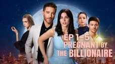 Pregnant By The Billionaire