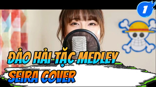 Đảo Hải Tặc Medley (Cover By Seira)_1