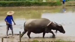 所有种地的意义是什么…