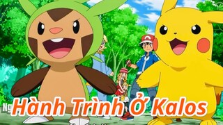 Tóm Tắt Anime" Pokemon: Hành Trình Kalos" | Tóm Tắt Pokemon | Ngáo Anime