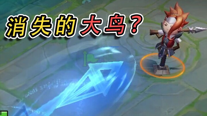 职业选手都爱用哪些皮肤？个个都藏着隐藏加成！
