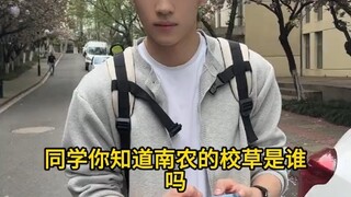 精选采访：南农校草是哪位？感觉都挺帅