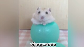 เจ้าหนูแสนซน