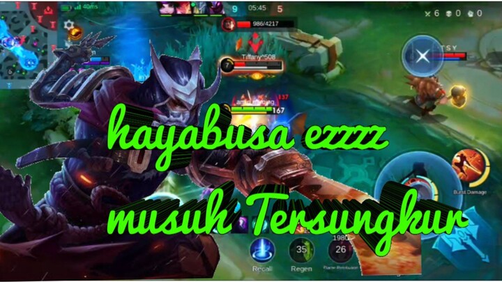 hayabusa amin gaming no Conter