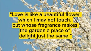 Flower Quotes
