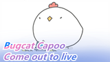 Bugcat Capoo| Come out to live and will return eventually