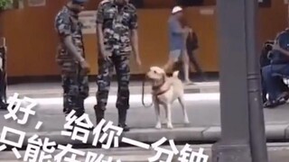 军犬：“我可以请假玩会吗？”主人：“给你一分钟”