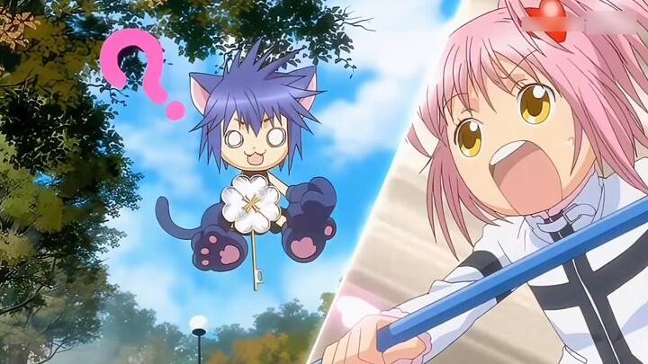 Tiga menit untuk membuat Anda jatuh cinta dengan anak kucing terlucu di dunia!