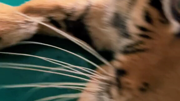 Work’s over! See you tomorrow, cuties!