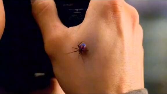 spider man