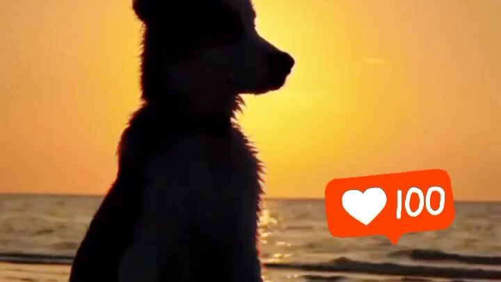💯♥️🤕🙏請🙏關注我的頻道
