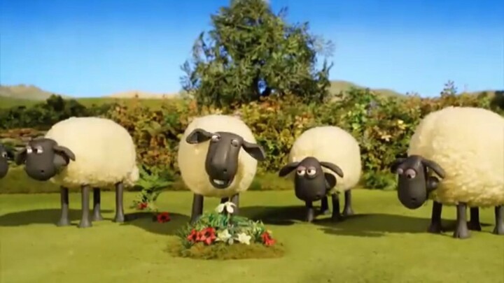 Shaun The Sheep Gabungan #9