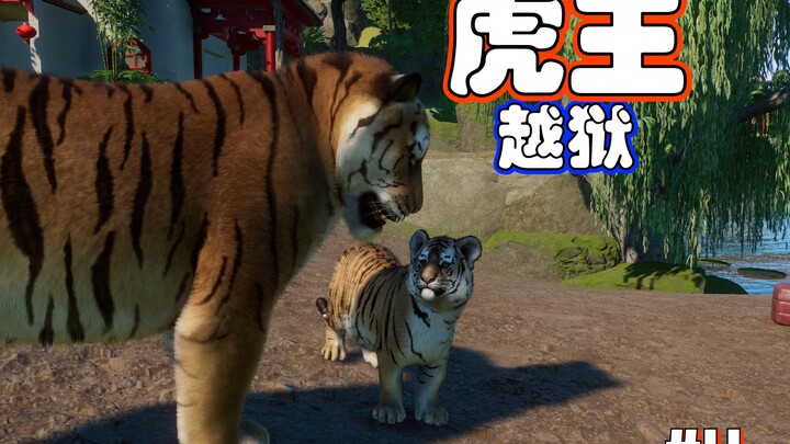 จับเสือนักท่องเที่ยวมาปรุงอาหาร?? ? ? ? #4