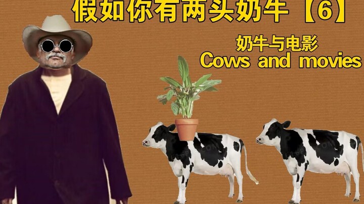 If You Have Two Dairy Cows [Dairy Cows and Movies]