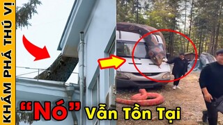 🔥10 Đoạn Video Là Bằng Chứng Chứng Minh Quái Vật Tiền Sử Vẫn Còn Tồn Tại "Vô Tình Bắt Gặp" | KPTV