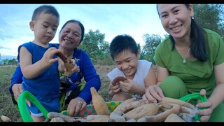 Hái được 1 giỏ trái cây khổng lồ ở gò hoang -  Nam Viet 3