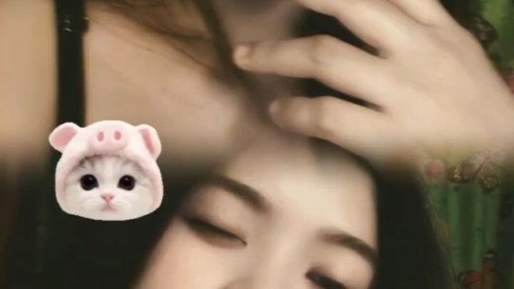 good evening everyone