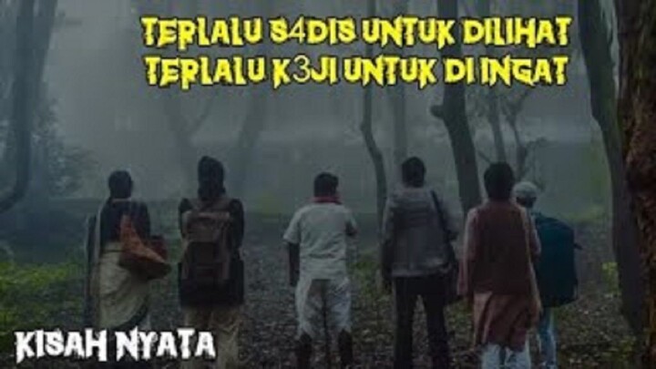 KISAH NYATA MENEMPATI SEBUAH RUMAH YANG TERKUTUK  alur cerita film horror